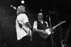 Francis Rossi 